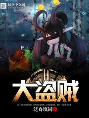 大盗贼的宝藏3位置