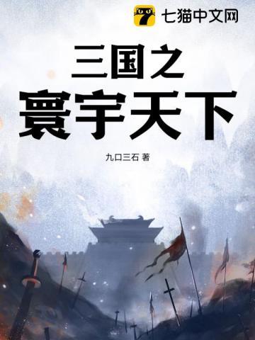 三国之天下纵横